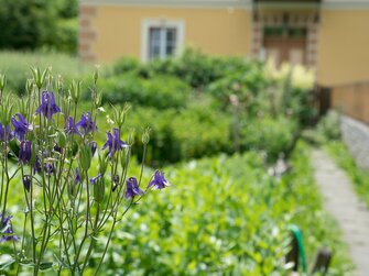 Kräutergarten am Örglwirt's Gut in Mariapfarr | © Urlaub am Bauernhof im SalzburgerLand / Matthias Gruber