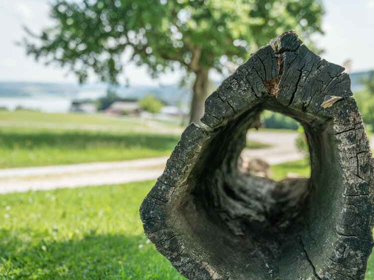 Holzspielplatz beim Aicherbauer in Seeham | © Urlaub am Bauernhof im SalzburgerLand / Matthias Gruber