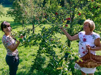 Zwei Frauen pflücken Äpfel. | © Urlaub am Bauernhof im SalzburgerLand / www.travelpins.at