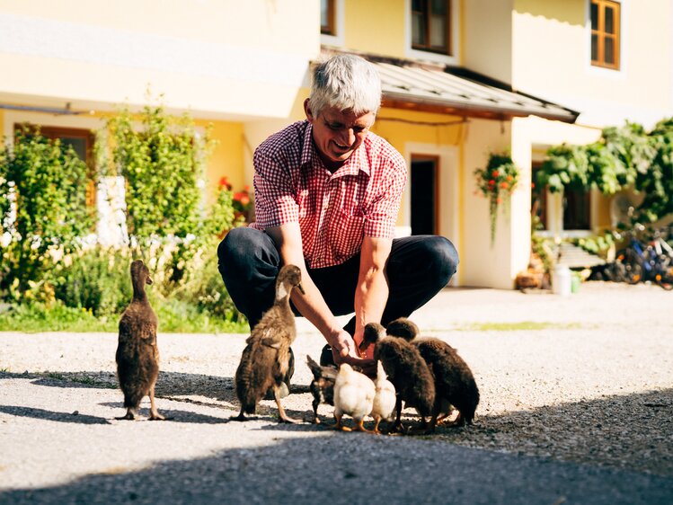 Klaus Vitzthum mit einer Entenfamilie vor dem Bauernhaus | © Urlaub am Bauernhof im SalzburgerLand / Daniel Gollner