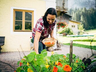 Monika Vitzthum sammelt Kapuzinerkresseblüten | © Urlaub am Bauernhof im SalzburgerLand / Daniel Gollner