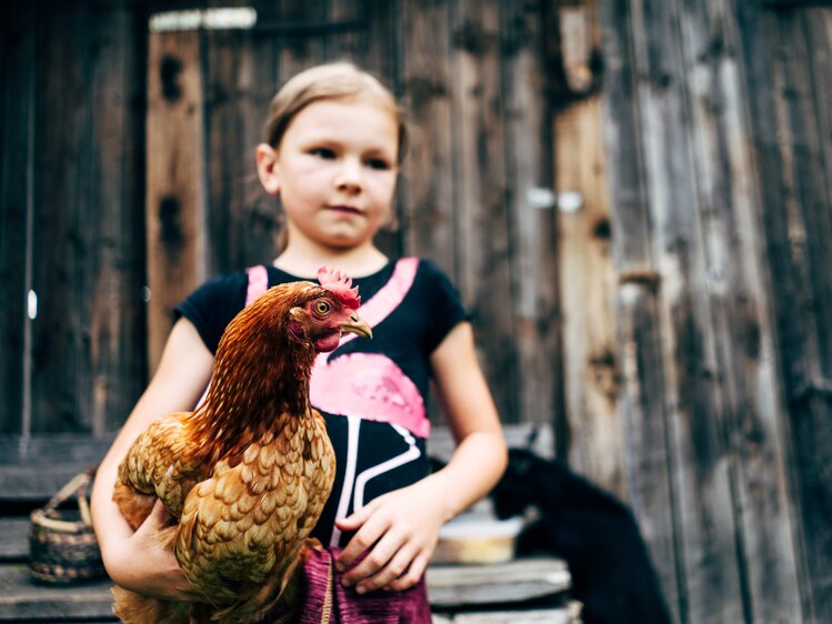 Ein Mädchen hält ein Huhn am Arm. | © Urlaub am Bauernhof im SalzburgerLand / Daniel Gollner