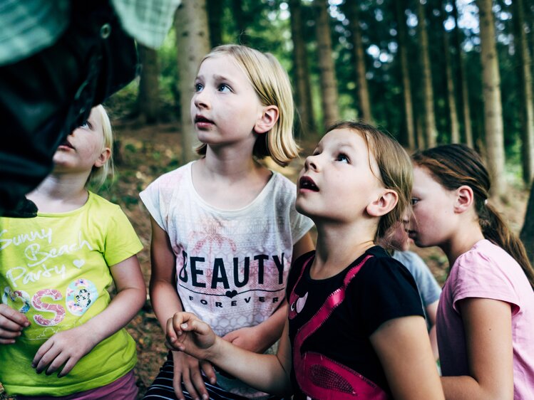 Staunende Kinder im Märchenwald auf Gut Neusess | © Urlaub am Bauernhof im SalzburgerLand / Daniel Gollner