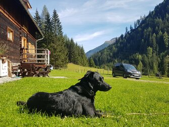 Hund liegt in der Wiese vor der Almhütte | © www.wiederunterwegs.com / Angelika Mandler-Saul