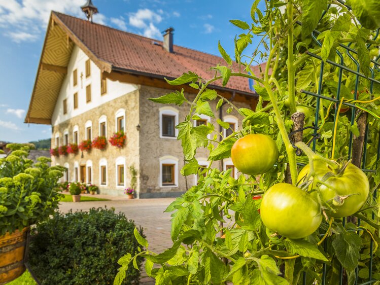 Außenansicht Biobauernhof Paulbauer, Hof bei Salzburg | © Urlaub am Bauernhof Salzburger Land / Bernd Suppan