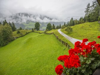 Ausblick vom Biohof Maurachgut ins Tal | © Biohof Maurachgut / Familie Schuster