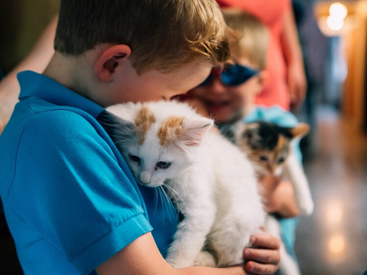 Zwei Buben liebkosen Katzenbabys. | © Urlaub am Bauernhof im SalzburgerLand / Daniel Gollner