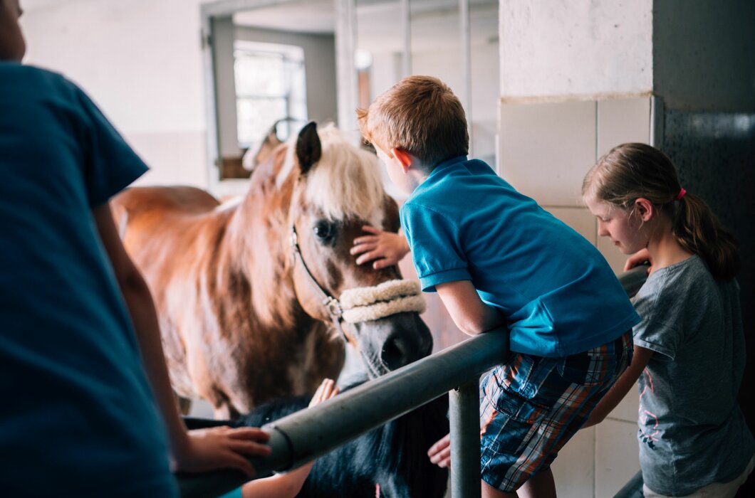 Kinder streicheln ein Pferd im Stall. | © Urlaub am Bauernhof im SalzburgerLand / Daniel Gollner