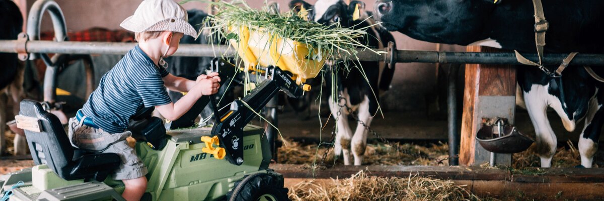 Ein Bub füttert mit dem Trettraktor die Kühe im Stall. | © Urlaub am Bauernhof im SalzburgerLand / Daniel Gollner