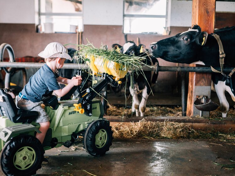 Ein Bub füttert mit dem Trettraktor die Kühe im Stall. | © Urlaub am Bauernhof im SalzburgerLand / Daniel Gollner