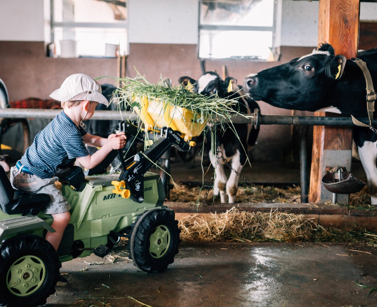 Ein Bub füttert mit dem Trettraktor die Kühe im Stall. | © Urlaub am Bauernhof im SalzburgerLand / Daniel Gollner