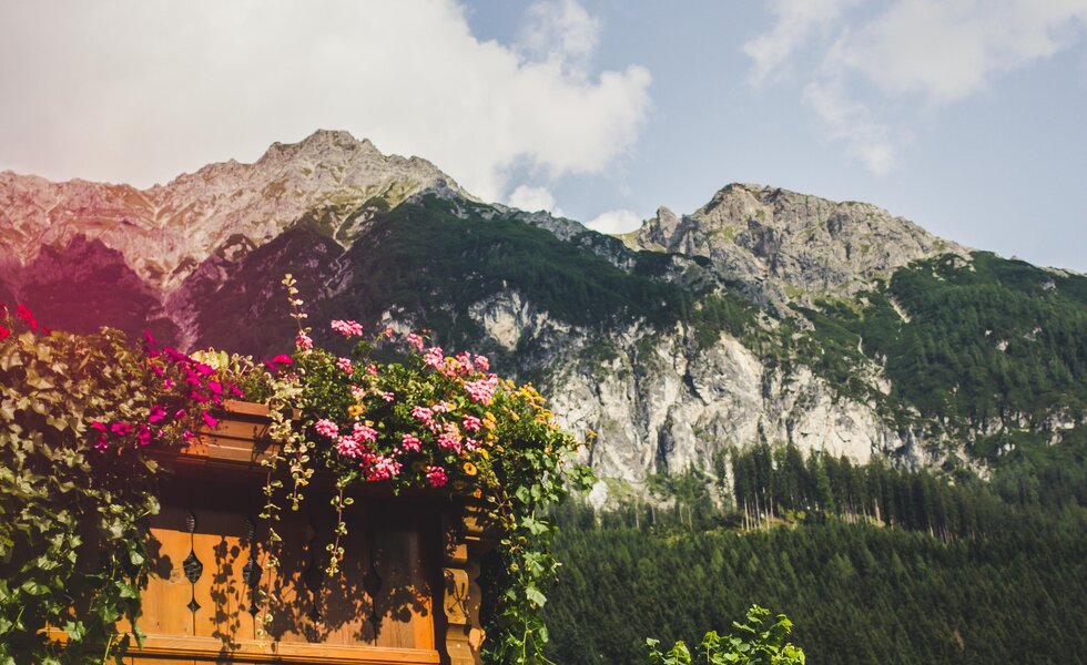 Berge, Balkonblumen, Archehof Öbristhof in Kleinarl, Salzburger Sportwelt | © Urlaub am Bauernhof Salzburger Land / Matthias Gruber