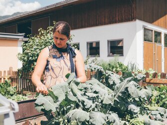 Bauerngarten Conny Rohrmoser Reiterhof, St. Johann, Salzburger Land | © Urlaub am Bauernhof Salzburger Land / Daniel Gollner