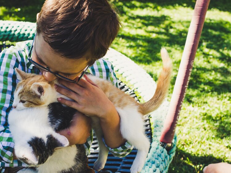 Bub mit Katzen, Samerhof in Mariapfarr, Salzburger Lungau | © Urlaub am Bauernhof Salzburger Land / Matthias Gruber