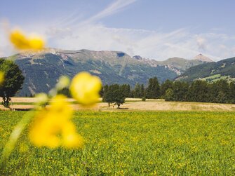 Landschaft, Samerhof in Mariapfarr, Salzburger Lungau | © Urlaub am Bauernhof Salzburger Land / Matthias Gruber