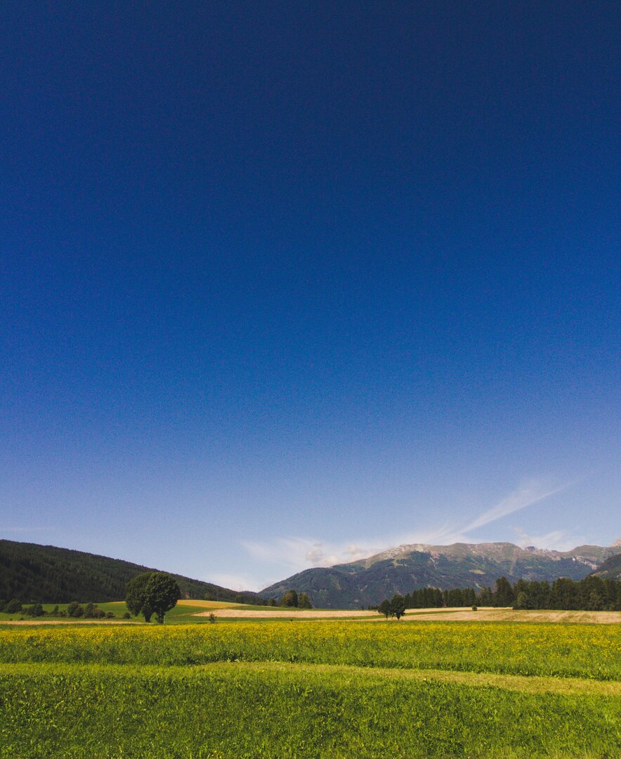 Landschaft, Samerhof in Mariapfarr, Salzburger Lungau | © Urlaub am Bauernhof Salzburger Land / Matthias Gruber