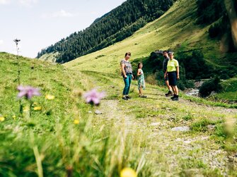 Angelika Kaltenhauser wandert mit ihren Gästen über die Alm. | © Urlaub am Bauernhof im SalzburgerLand / Daniel Gollner