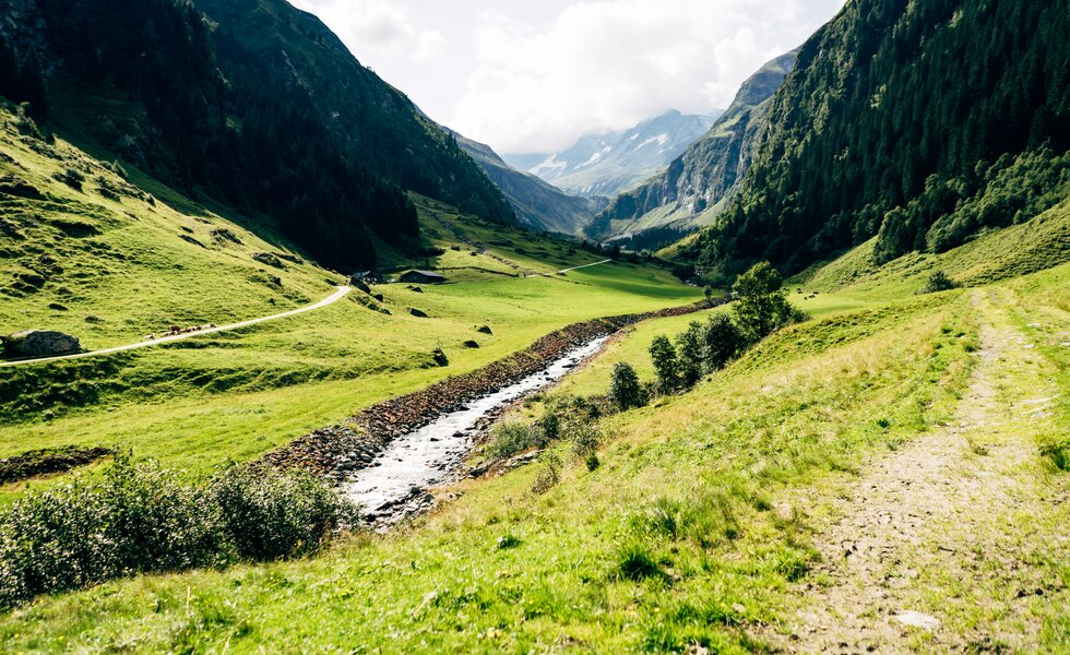 Almlandschaft mit Bach im Nationalpark Hohe Tauern | © Urlaub am Bauernhof im SalzburgerLand / Daniel Gollner