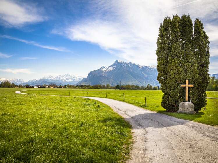 Feldweg mit Aussicht auf den Untersberg am Biohof Schlagerbauer in der Stadt Salzburg | © Urlaub am Bauernhof im SalzburgerLand / Bernd Suppan