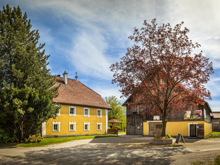 Biohof Schlagerbauer in der Stadt Salzburg | © Urlaub am Bauernhof im SalzburgerLand / Bernd Suppan