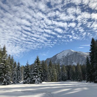 Winterlandschaft auf der Postalm | © Margret Appesbacher