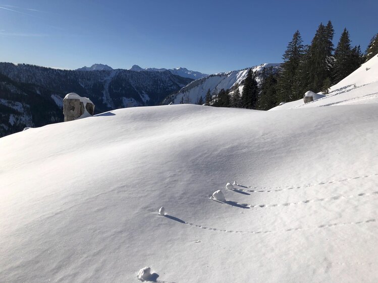 Winterlandschaft auf der Postalm | © Margret Appesbacher