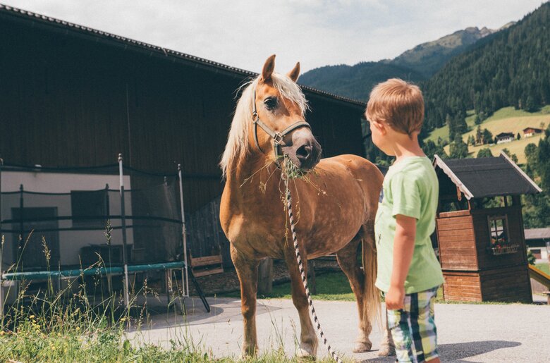 Bub mit Pferd, Schwabhof in Kleinarl, Salzburger Land | © Urlaub am Bauernhof Salzburger Land / Daniel Gollner