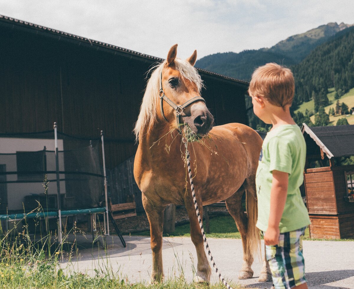 Bub mit Pferd, Schwabhof in Kleinarl, Salzburger Land | © Urlaub am Bauernhof Salzburger Land / Daniel Gollner