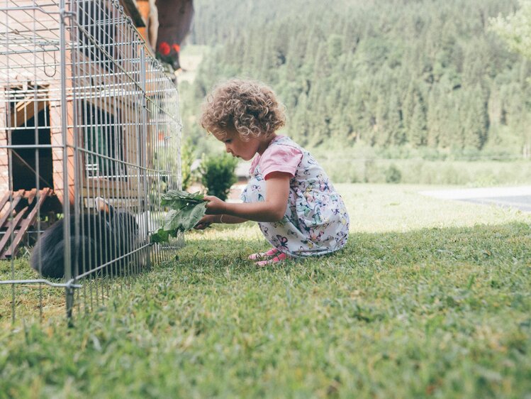 Kinder Spielen am Schwabhof in Kleinarl, Salzburger Land | © Urlaub am Bauernhof Salzburger Land / Daniel Gollner