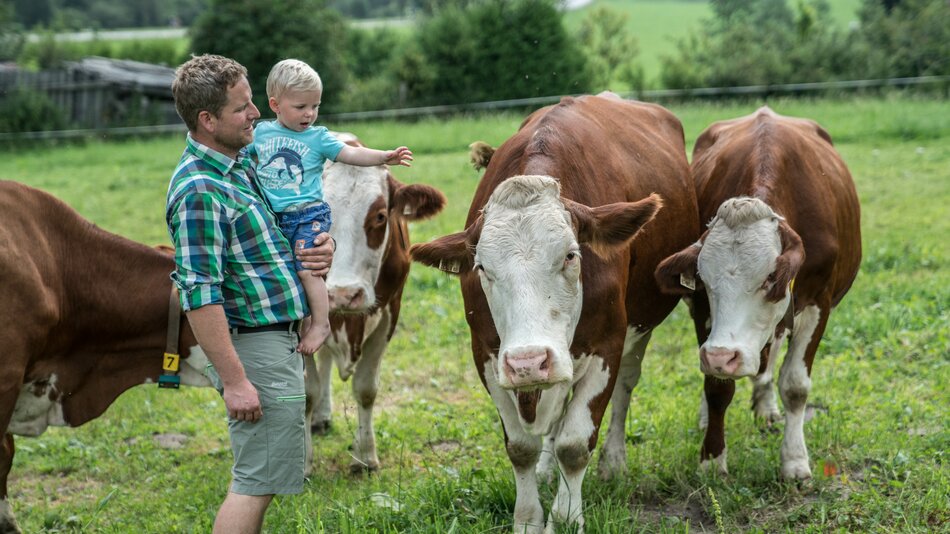 Johannes Inhöger hält seinen Sohn am Arm und besucht die Kühe auf der Weide. | © Urlaub am Bauernhof im SalzburgerLand / Matthias Gruber