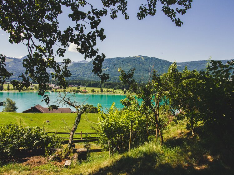 Beim Stallerbauer in Ried am Wolfgangsee genießt ihr immer einen traumhaften Ausblick auf den Wolfgangsee. | © Urlaub am Bauernhof im SalzburgerLand / Matthias Gruber