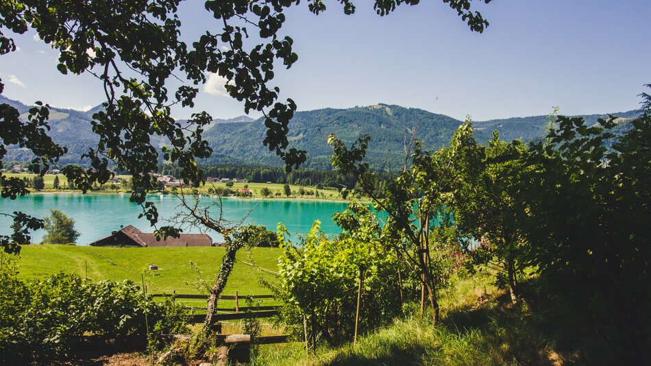 Beim Stallerbauer in Ried am Wolfgangsee genießt ihr immer einen traumhaften Ausblick auf den Wolfgangsee. | © Urlaub am Bauernhof im SalzburgerLand / Matthias Gruber