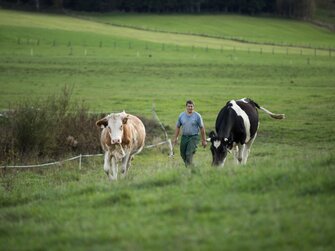 Bauer mit Kühen auf der Weide | © Urlaub am Bauernhof im SalzburgerLand / Lukas Ilgner