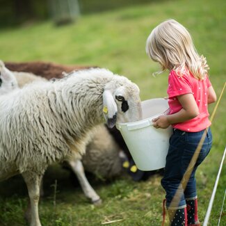 Mädchen füttert Schafe | © Urlaub am Bauernhof im SalzburgerLand / Lukas Ilgner