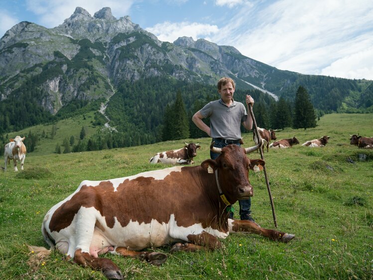 Bauer Hermann Rainer steht bei seinen Pinzgauerkühen auf der Alm. | © Urlaub am Bauernhof im SalzburgerLand / Matthias Gruber