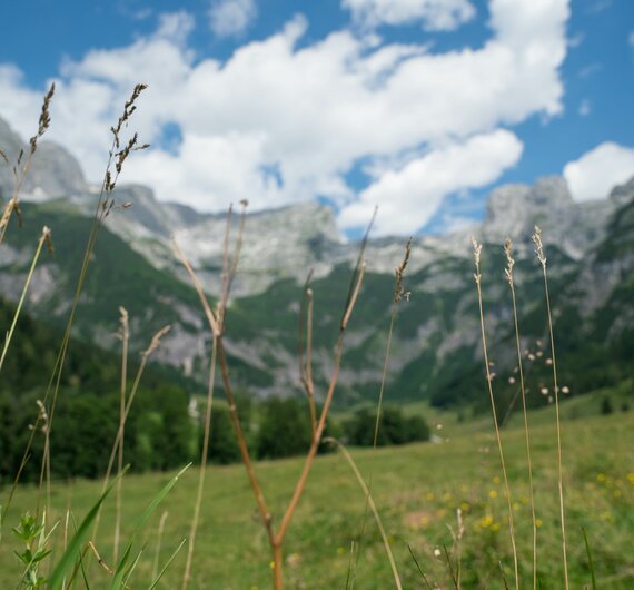 Alm vom Vorderfrommhof in Werfenweng mit Aussicht auf das Tennengebirge | © Urlaub am Bauernhof im SalzburgerLand / Matthias Gruber