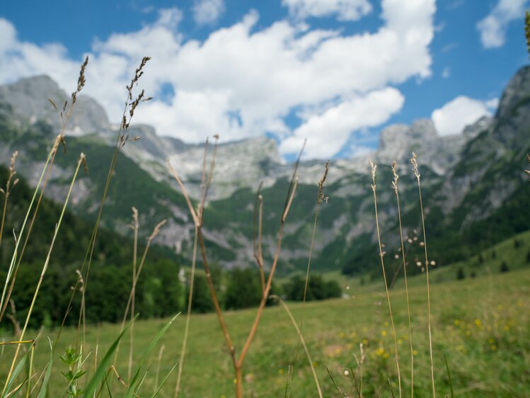 Alm vom Vorderfrommhof in Werfenweng mit Aussicht auf das Tennengebirge | © Urlaub am Bauernhof im SalzburgerLand / Matthias Gruber