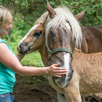 Bäuerin Lisi Lottermoser streichelt ihre Pferde. | © Urlaub am Bauernhof im SalzburgerLand / Matthias Gruber