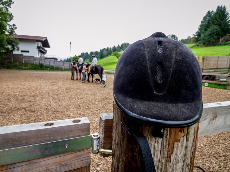 Robert Herzgsell im Pferdestall, Zauchtalerhof, Salzburger Land | © Fräulein Flora / Matthias Gruber