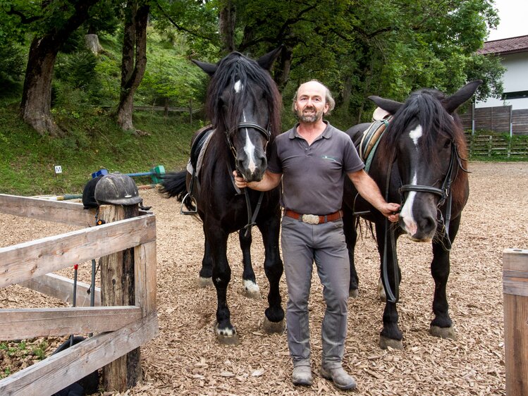 Robert Herzgsell mit 2 Pferden auf Reitplatz, Zauchtalerhof, Salzburger Land | © Fräulein Flora / Matthias Gruber