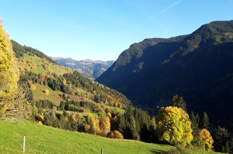 Aussicht vom Raggensteinhof in Viehhofen im SalzburgerLand | © Raggenstein / Familie Streitberger