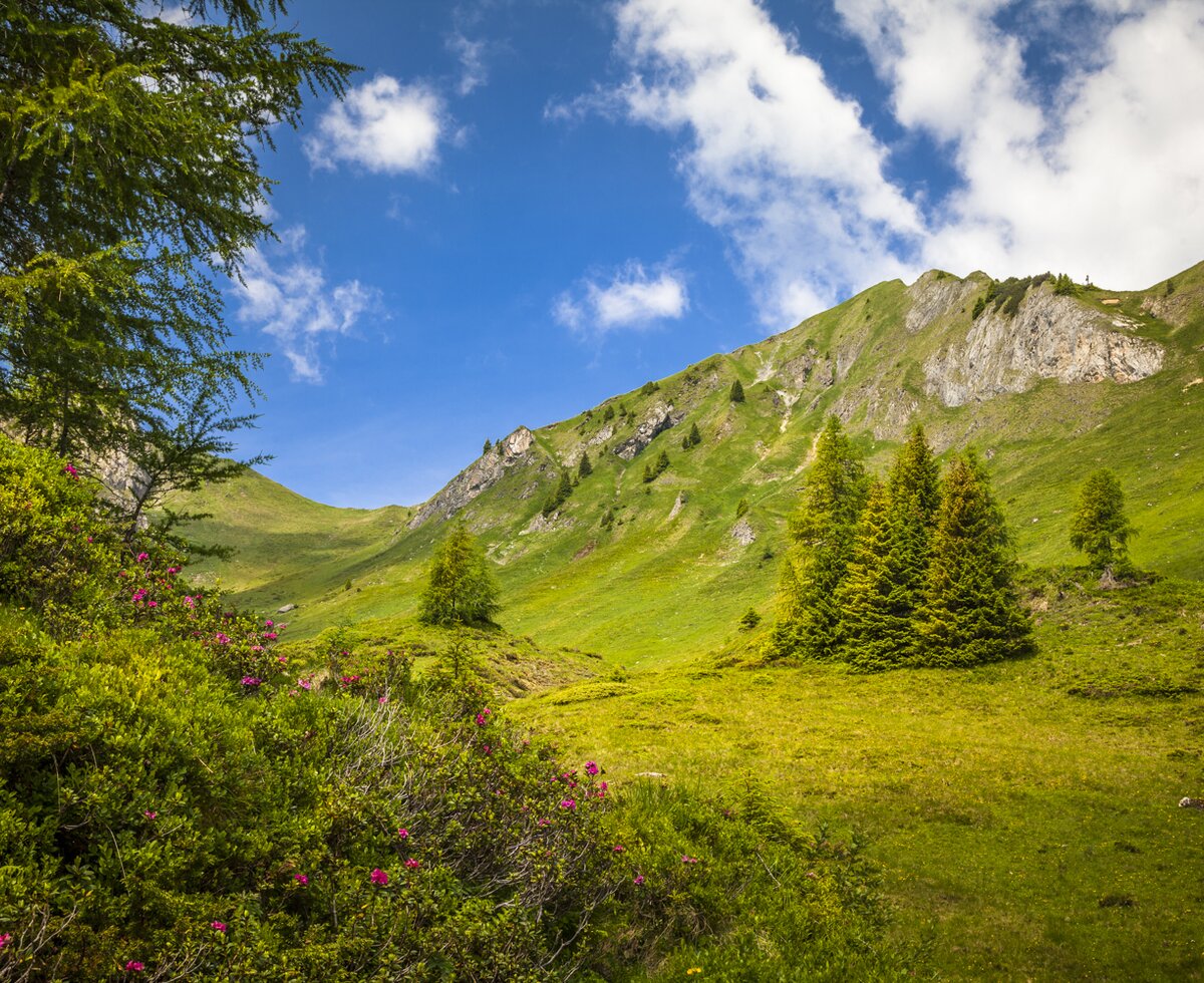 Almboden, Großarltal, Salzburger Land | © Urlaub am Bauernhof SalzburgerLand / Bernd Suppan