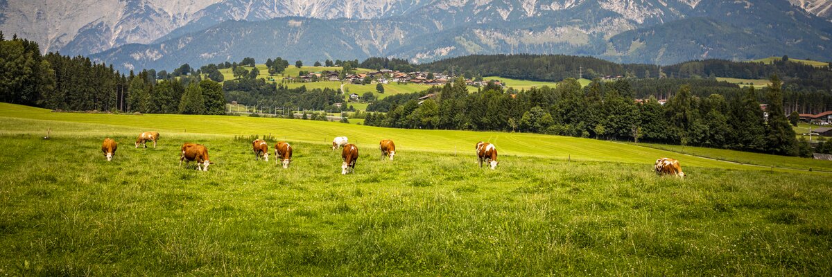 Bergkulisse, Hansenbauer, Saalfelden, SalzburgerLand | © Urlaub am Bauernhof SalzburgerLand / Bernd Suppan