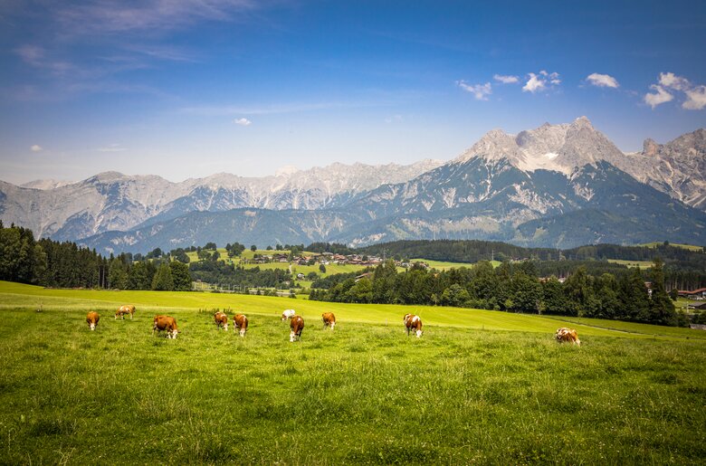 Bergkulisse, Hansenbauer, Saalfelden, SalzburgerLand | © Urlaub am Bauernhof SalzburgerLand / Bernd Suppan