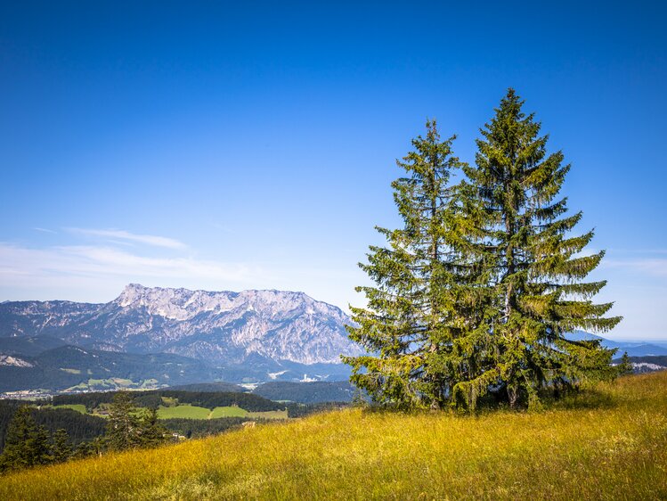 Ebenhütte in Krispl im Salzburger Land | © Urlaub am Bauernhof Salzburger Land / Bernd Suppan