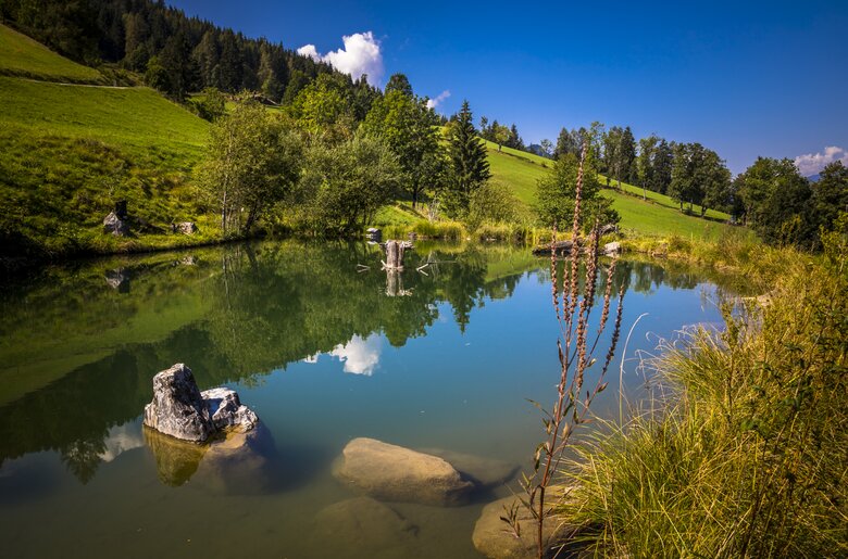 Kleiner Teich am Kohlschnaithof in Bruck, Salzburger Land | © Urlaub am Bauernhof Salzburger Land / Bernd Suppan