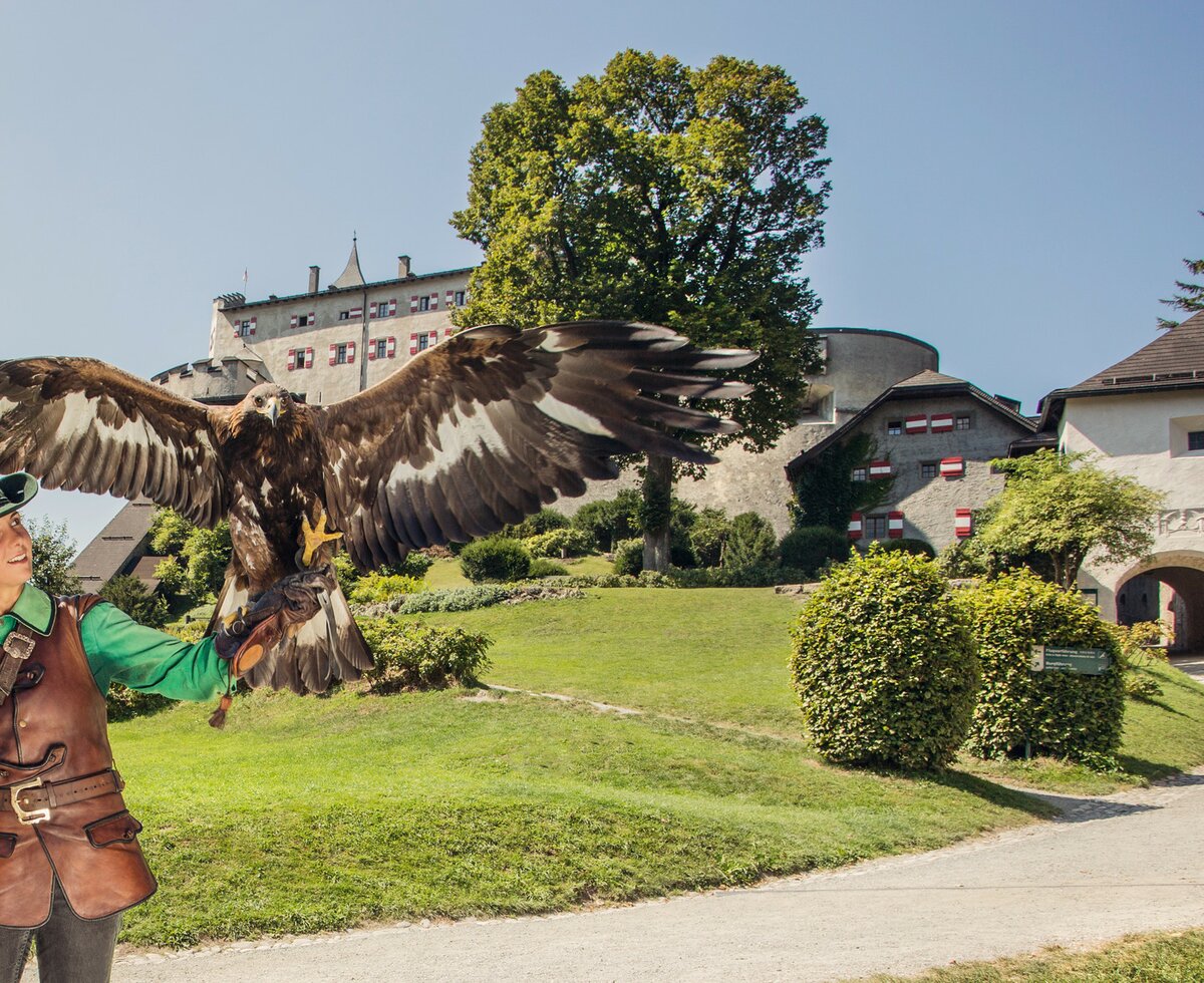 Greifvogelschau, Falkner, Greifvogel, Burg Hohenwerfen, Salzburger Land | © Salzburger Land Tourismus GmbH / Eva trifft.