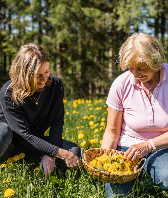 Bäuerin Johanna Krenn sammelt Löwenzahnblüten auf der Wiesen um den Hof. | © Urlaub am Bauernhof / punkt&komma