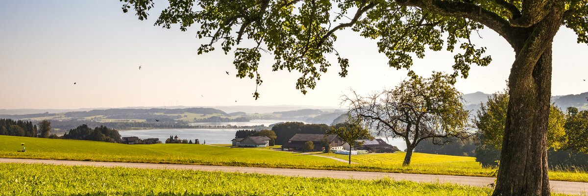 Blick vom Baby- und Kinderbauernhof Aicherbauer in Seeham auf den Obertrumer See. | © Urlaub am Bauernhof im SalzburgerLand / Bernd Suppan