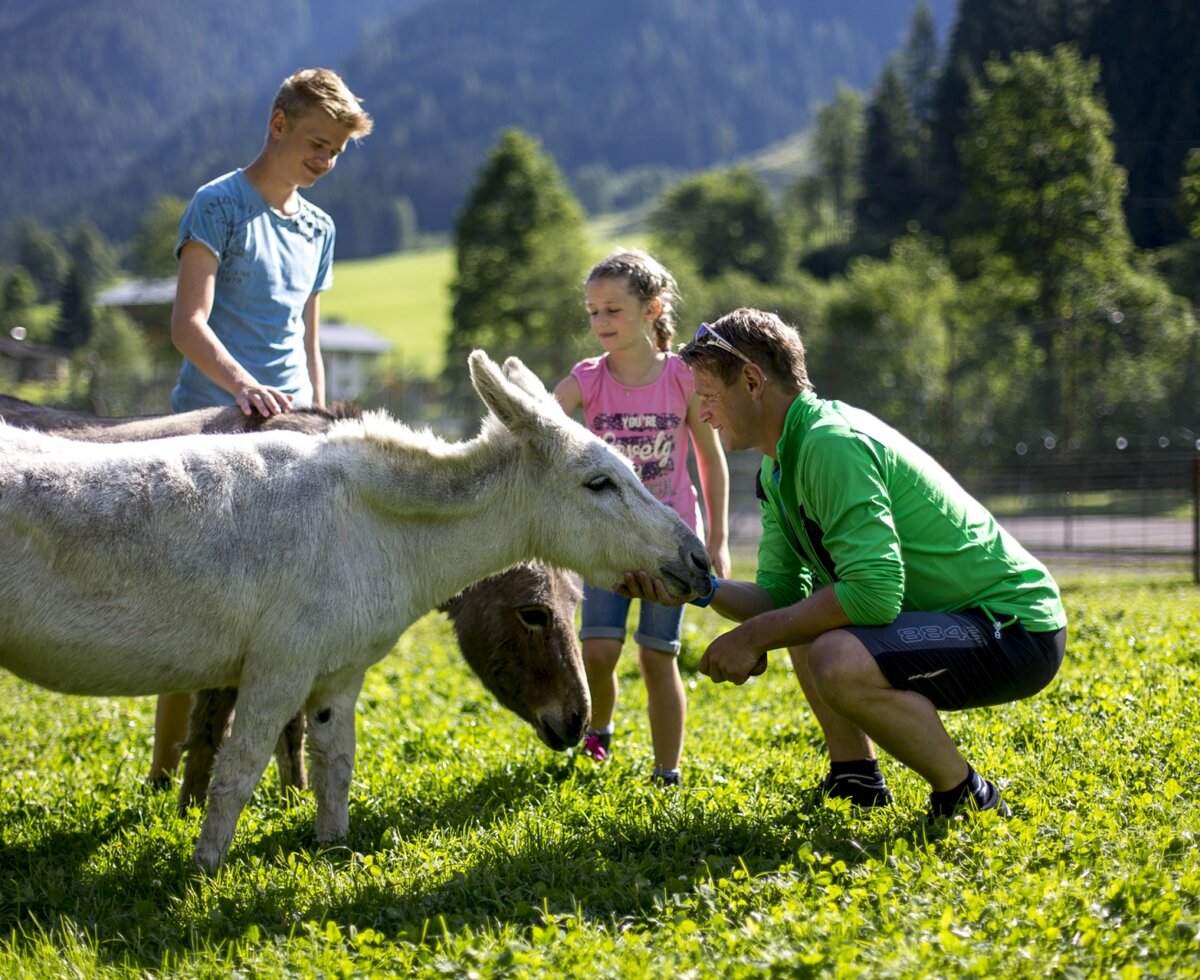 Streichelzoo im Freizeitpark & Wildpark in Untertauern, Salzburger Land | © Freizeitpark Untertauern / Tom Lamm 